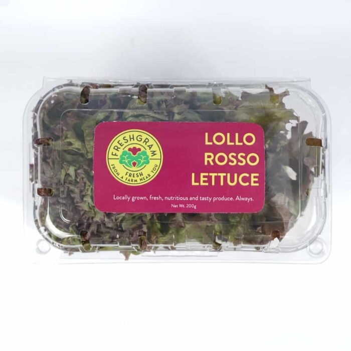 Lollo Rosso Lettuce