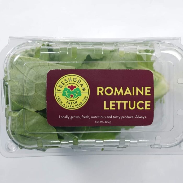 Romaine Lettuce