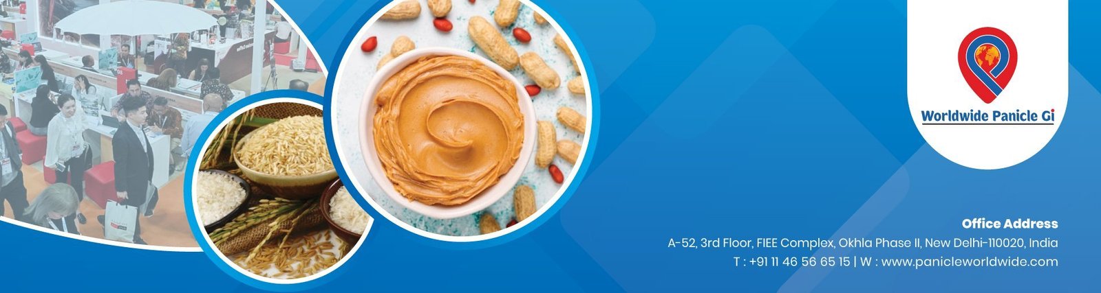 PANICLE WORLDWIDE PRIVATE LIMITED