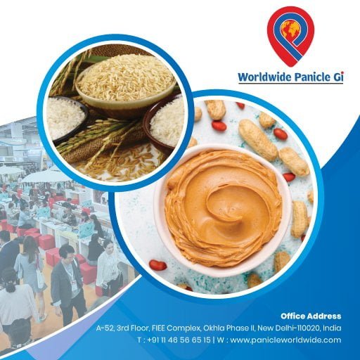 PANICLE WORLDWIDE PRIVATE LIMITED
